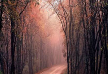 不戴眼鏡的渣叔?克洛普本人表示自己也不習慣.