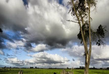 乐天堂:意甲第26輪國際米蘭0-2薩索洛 拉斯帕多裏破門斯卡馬卡建功.