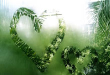 TA:若利物浦夺英超冠军,将从赞助商耐克拿到200万镑奖.