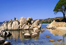 乐天堂:科内利亚诺全胜晋级世俱杯四强 朱婷透露康复细节中新体坛.